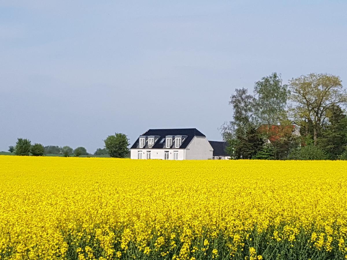 Roskilde B&B Gadstrup Екстериор снимка