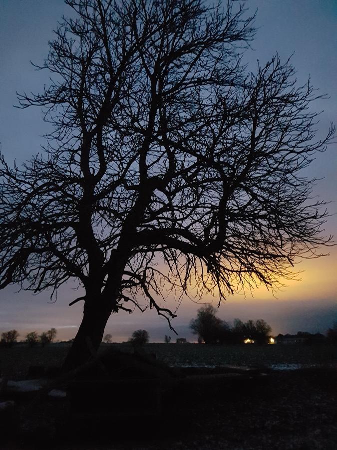 Roskilde B&B Gadstrup Екстериор снимка