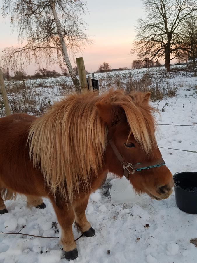 Roskilde B&B Gadstrup Екстериор снимка